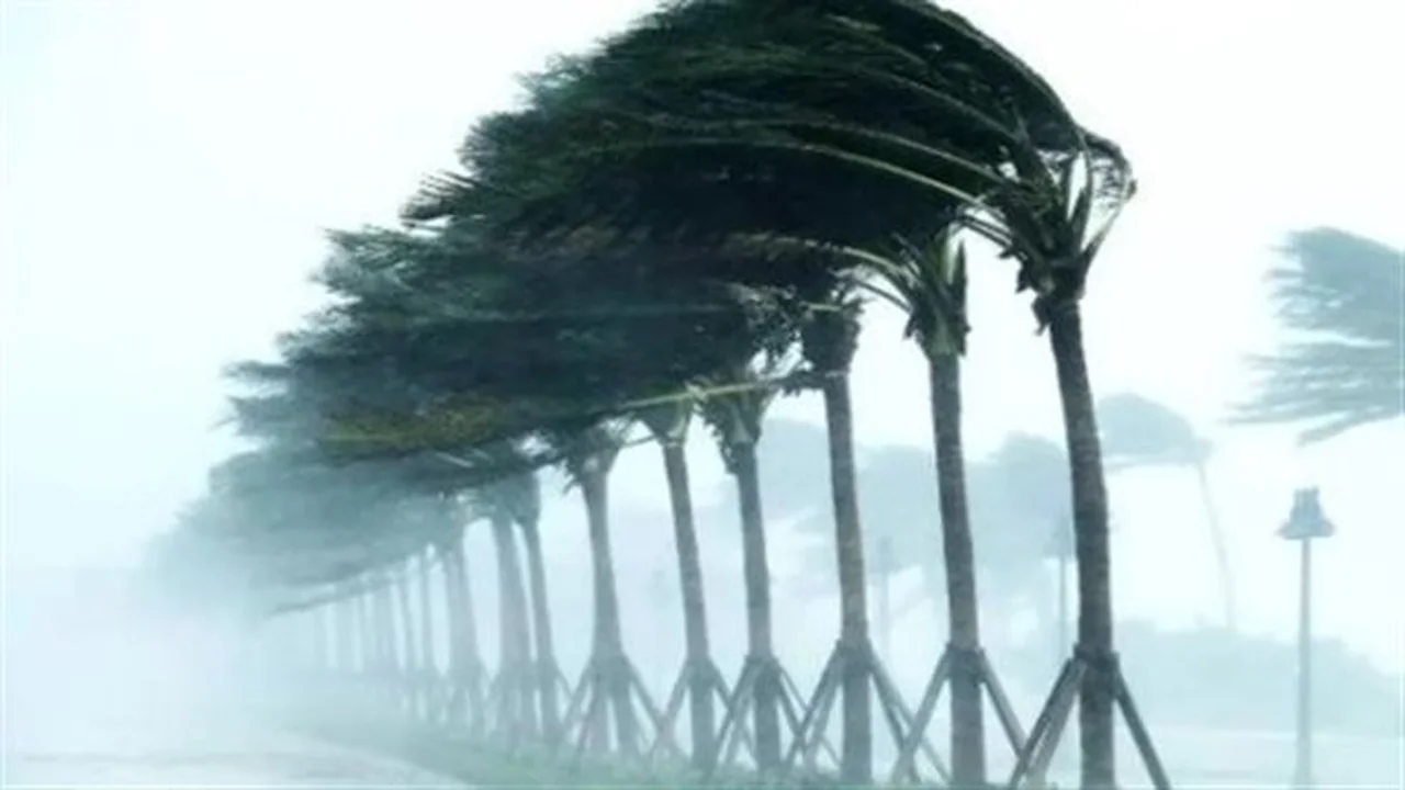 أجواء مشمسة في الصعيد وغائمة في القاهرة ضمن حالة الطقس ليوم الخميس